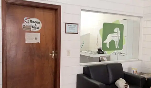 Veterinario na praia da Enseada Guaruja