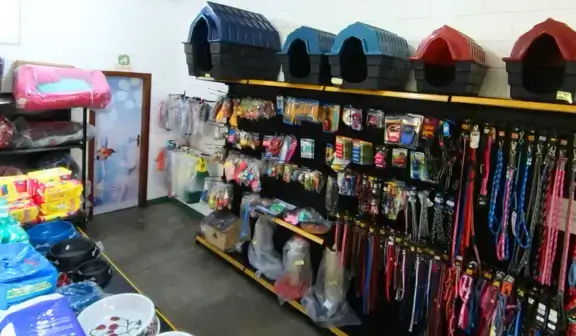 petshop enseada guaruja